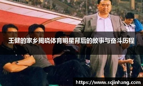 8868体育官网入口