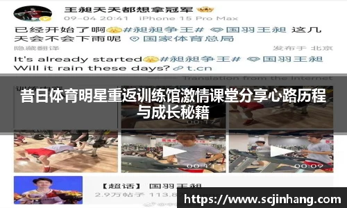8868体育官网