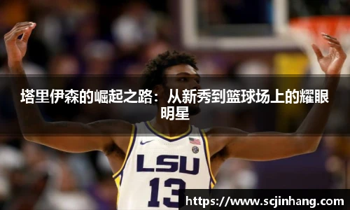 8868体育官网入口