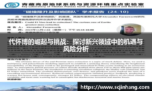 代怀博的崛起与挑战：探讨新兴领域中的机遇与风险分析